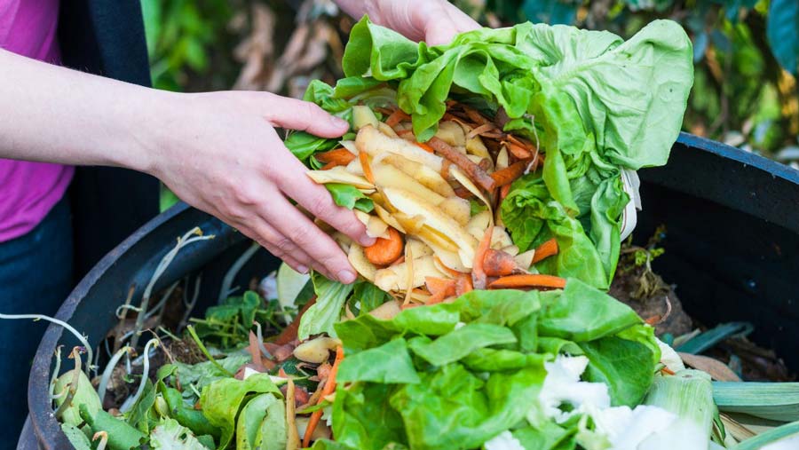 Food Waste Management in London, Ontario
